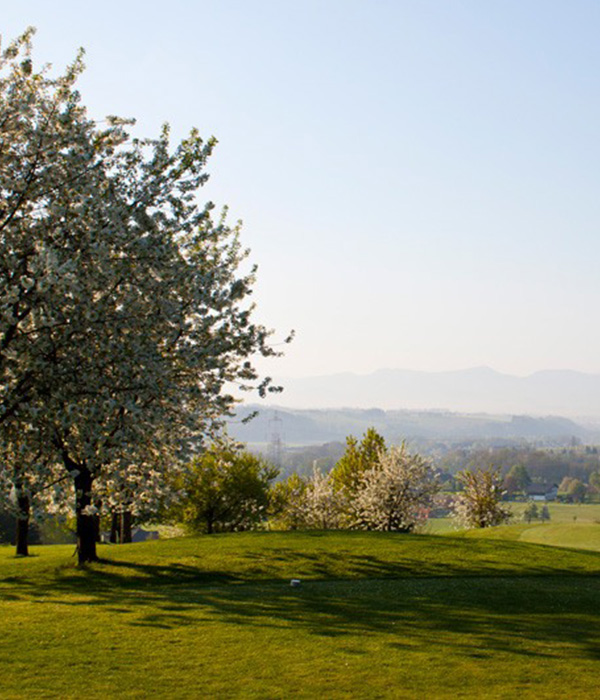 Mehr Grün