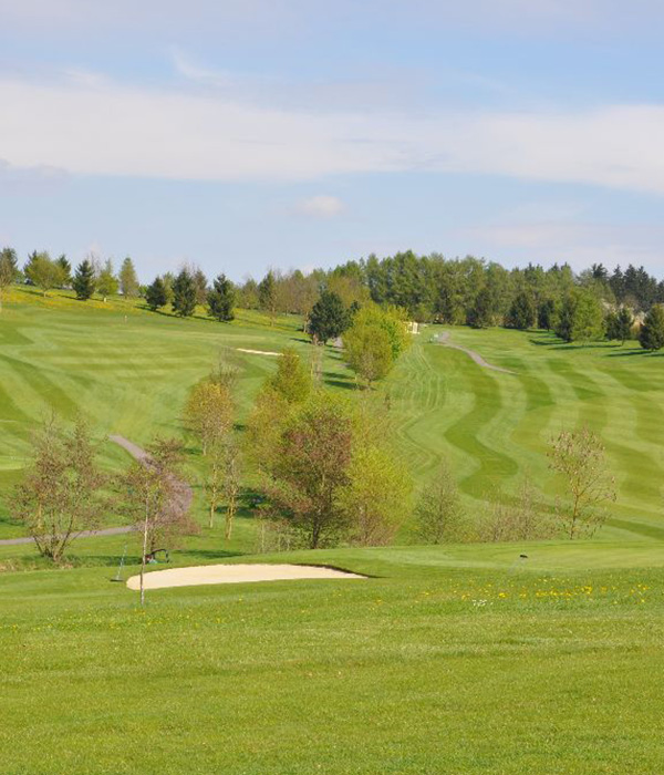 Mehr Grün