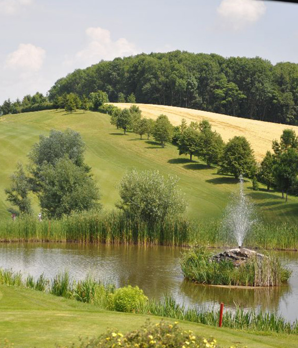 Mehr Grün